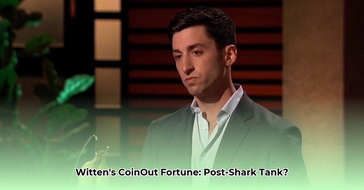 jeffrey-witten-coinout-net-worth